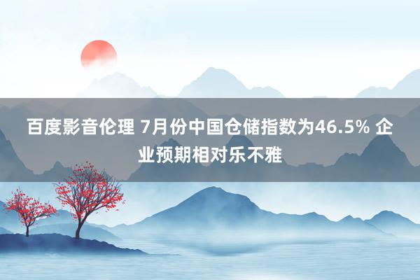 百度影音伦理 7月份中国仓储指数为46.5% 企业预期相对乐不雅