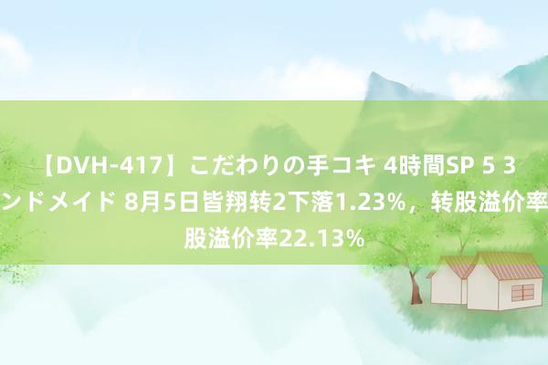 【DVH-417】こだわりの手コキ 4時間SP 5 30人のハンドメイド 8月5日皆翔转2下落1.23%，转股溢价率22.13%