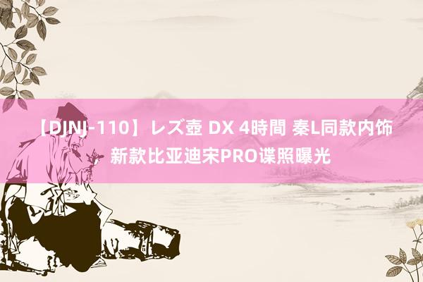 【DJNJ-110】レズ壺 DX 4時間 秦L同款内饰，新款比亚迪宋PRO谍照曝光