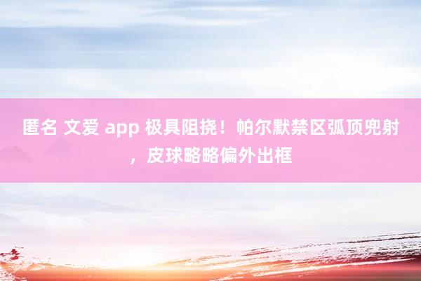 匿名 文爱 app 极具阻挠！帕尔默禁区弧顶兜射，皮球略略偏外出框