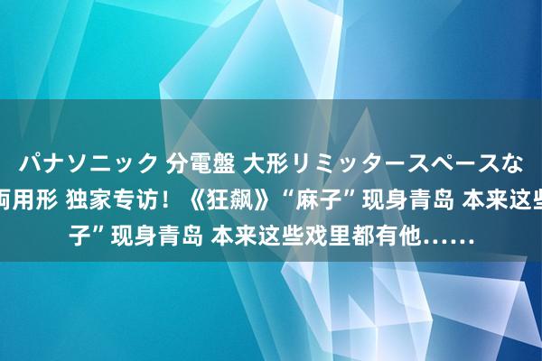 パナソニック 分電盤 大形リミッタースペースなし 露出・半埋込両用形 独家专访！《狂飙》“麻子”现身青岛 本来这些戏里都有他……